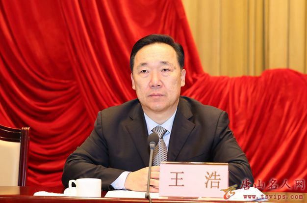市委书记王浩.jpg